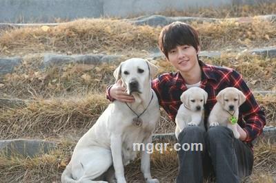 承诺流浪者的头像