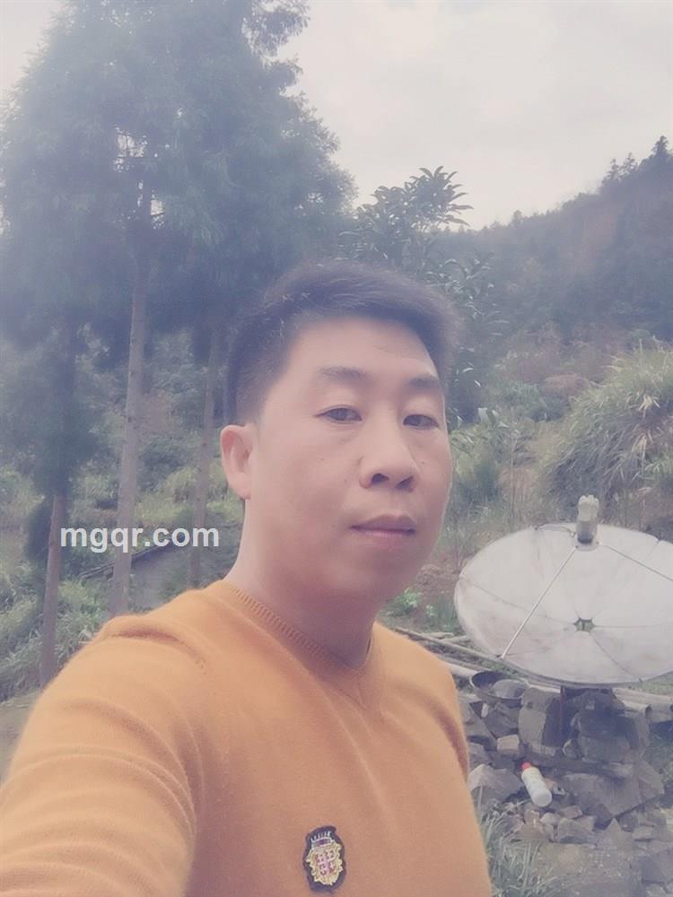 坏小志的头像