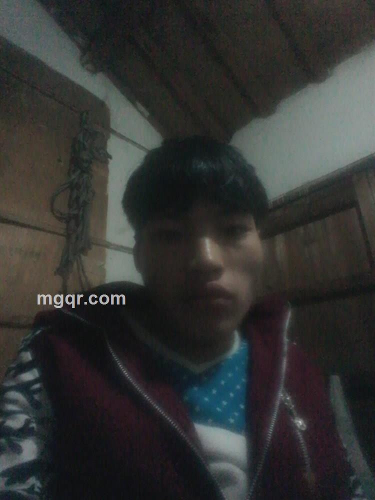 会员3893734的头像