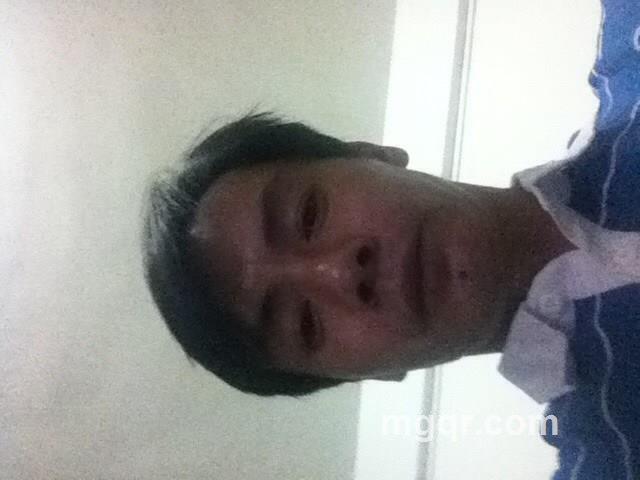 自由飞翔的头像