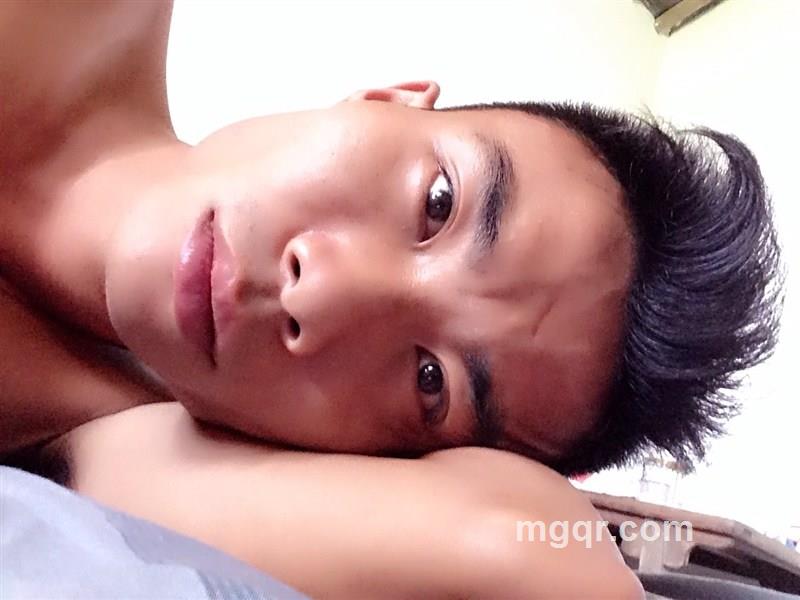 折了翅的鹏的头像