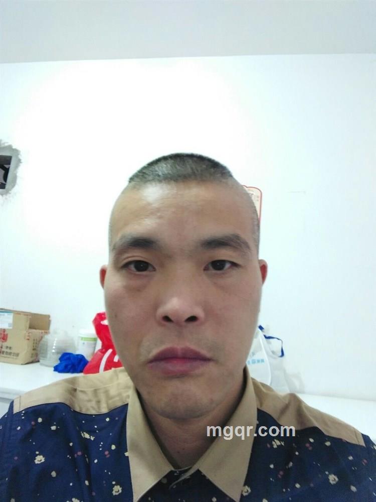 乘风破浪的头像