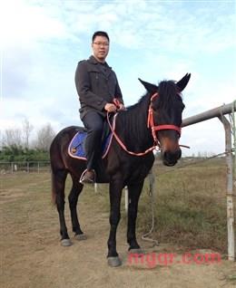 奔跑吧内涵的头像