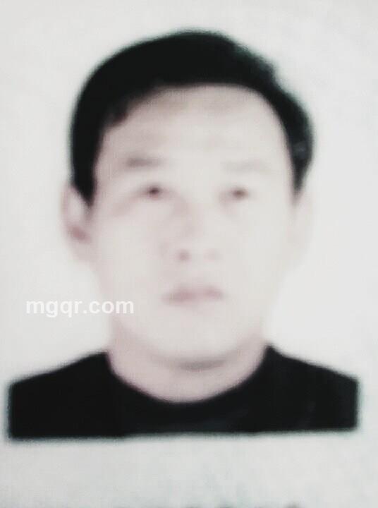 会员3900213的头像