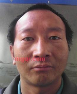 孤单的鸳鸯的头像