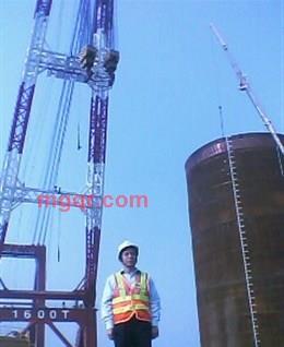 苍海-桑田的头像