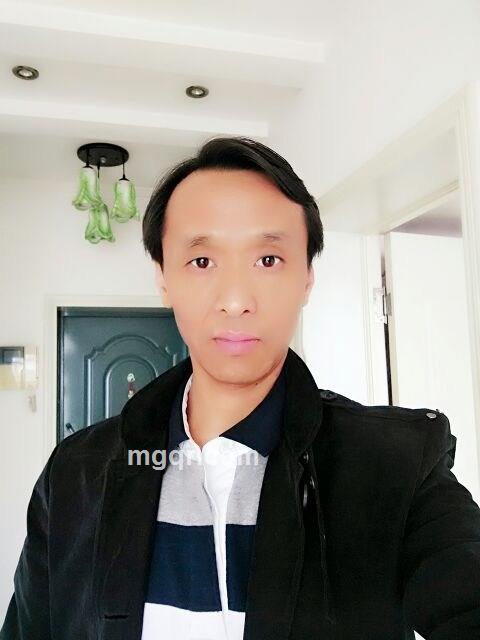 寻觅归宿的头像