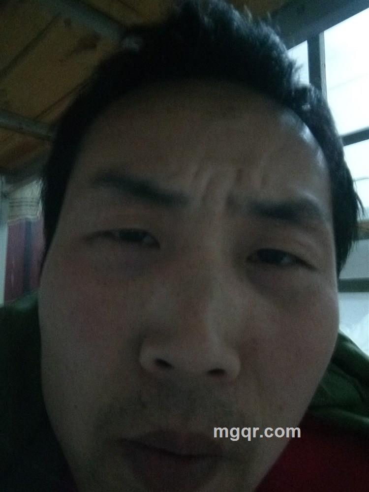 李飞的头像