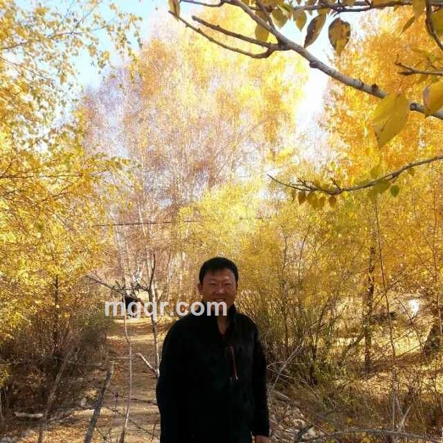 浪漫星空的头像