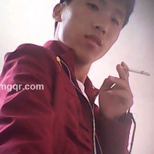 天马流星的头像