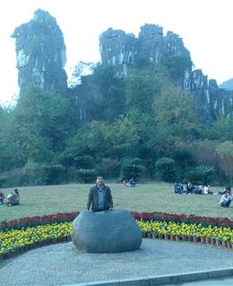 北方狼群的头像