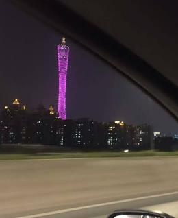 云中飞雁的头像