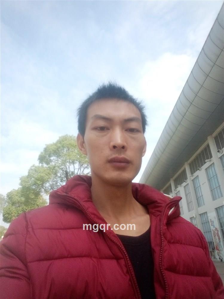 寂寞的狼的头像