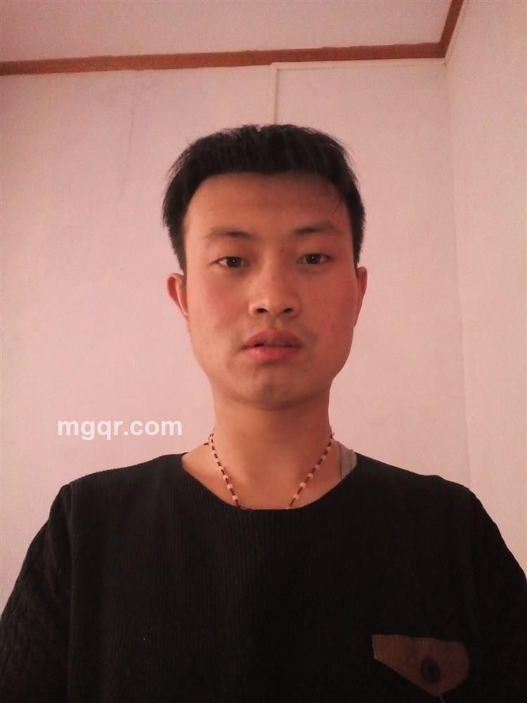 孤独的狼的头像