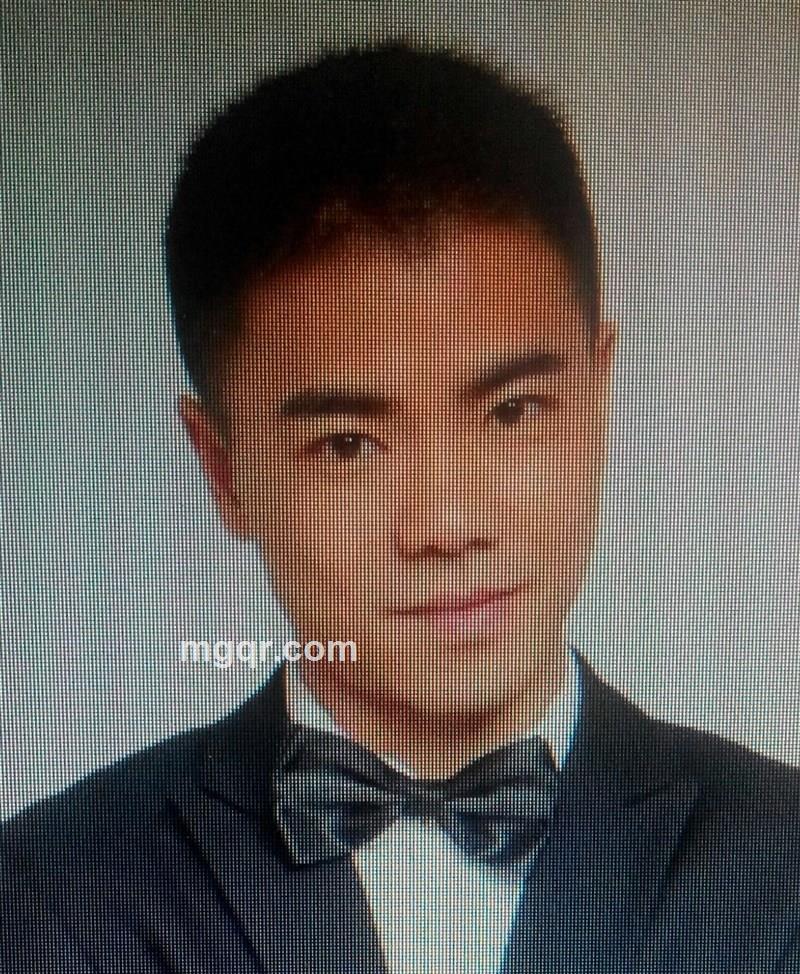 围墙上的猫的头像