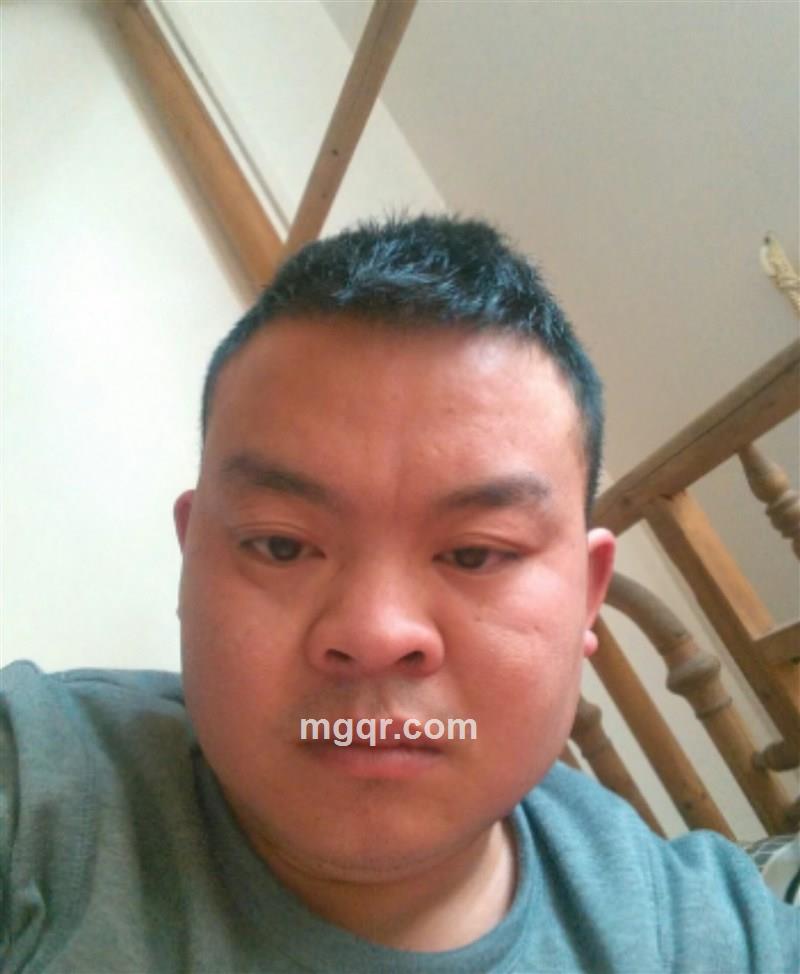 寂寞难耐会发春的猫的头像