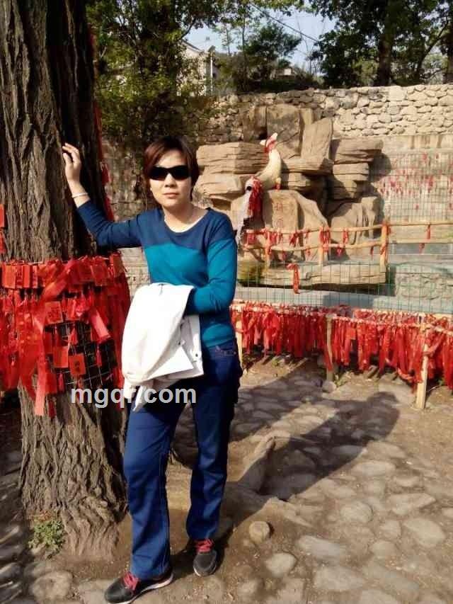 孤独飘心的头像