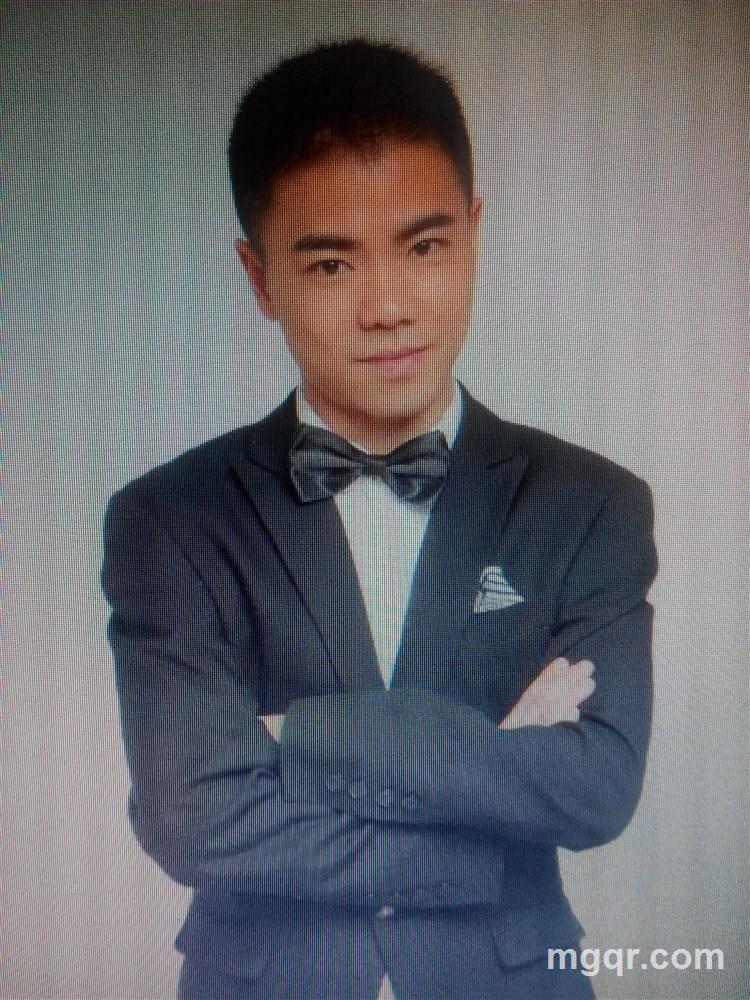 围墙上的猫的头像