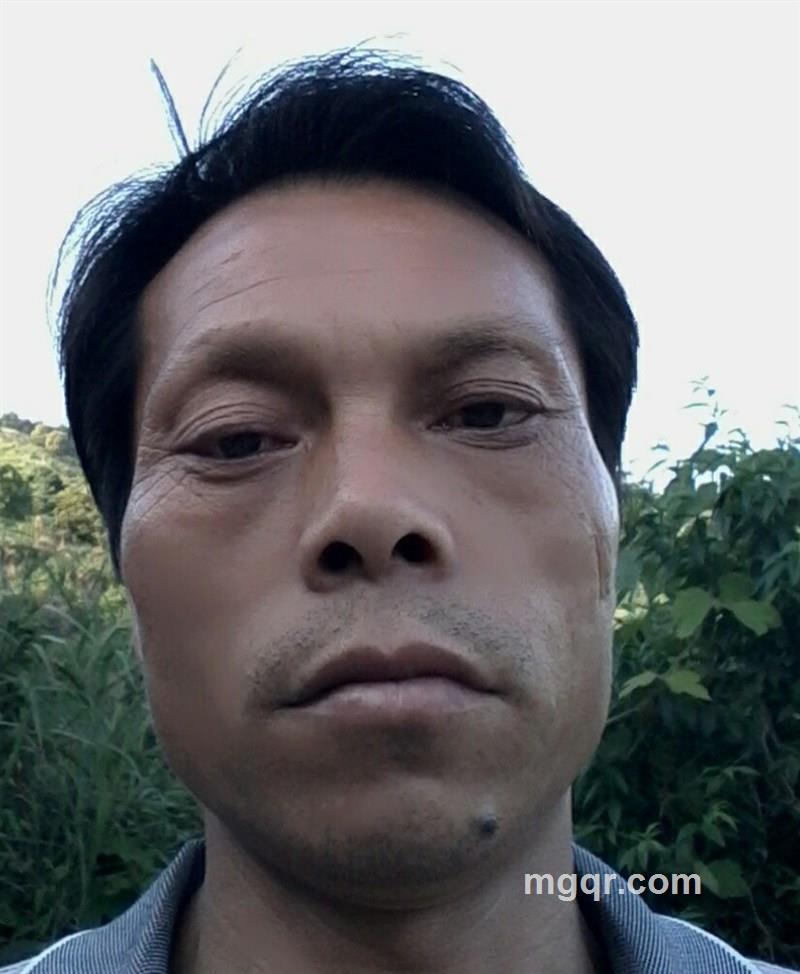 因爱生情的头像