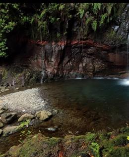 大雨过后凤仪亭的头像