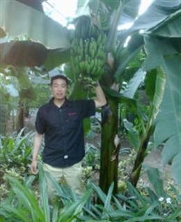 langzioklae的头像