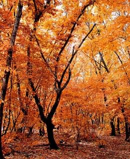 云里云外的头像