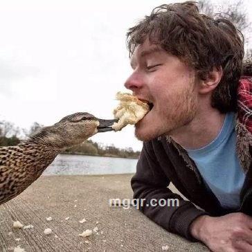 狈叛寂寞的头像