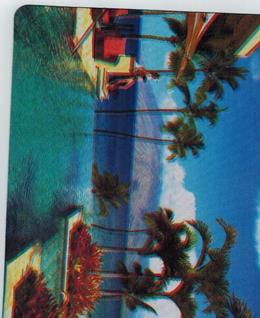 爱笑的小兔子的头像