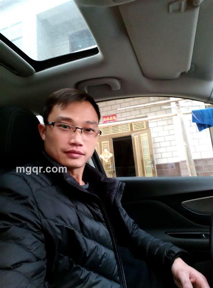 食肉动物的头像