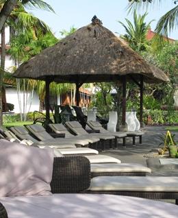 十四号天使的头像