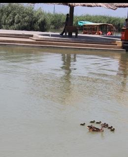 tongxinweimin的头像