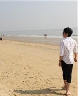 阳光的2016的头像