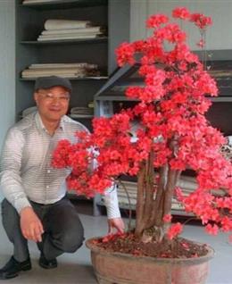 似有非有的头像