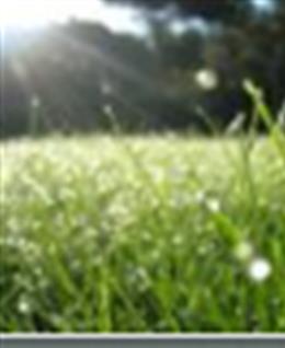 光明就在远方的头像