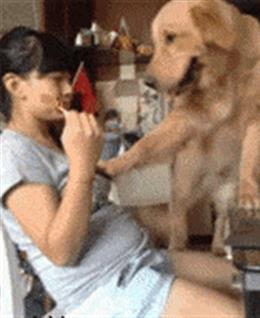 翔找女的头像