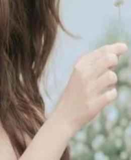 金军哥哥的头像