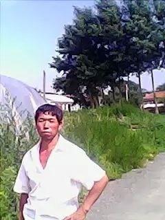 太阳狮子的头像