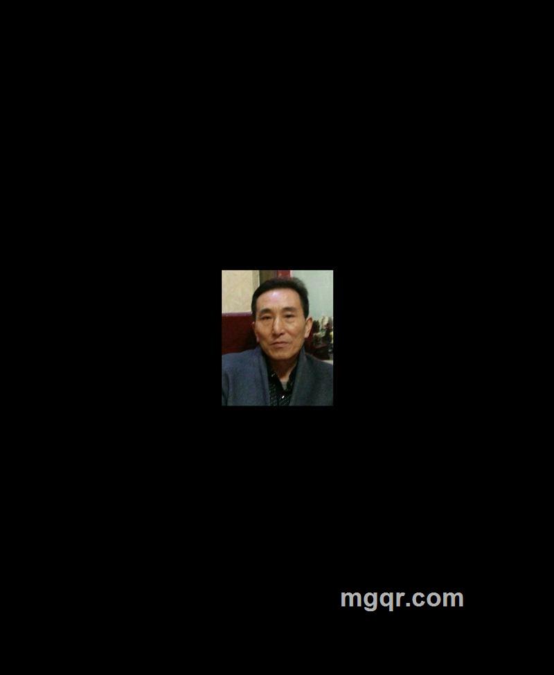 飞翔的鹰的头像