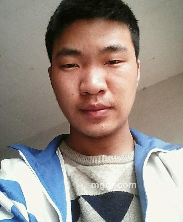 爱永不悔的头像