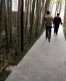 海阔天空ly的头像