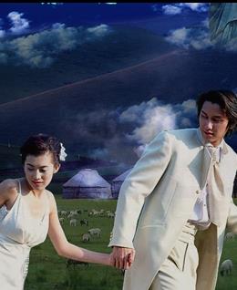 有缘情来的头像