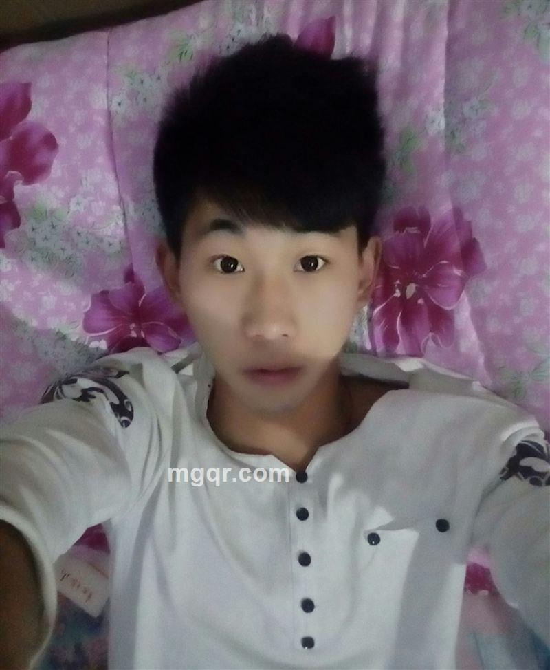 伴你流浪的头像