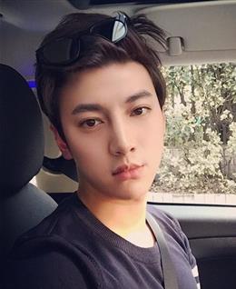 辉煌之夜的头像