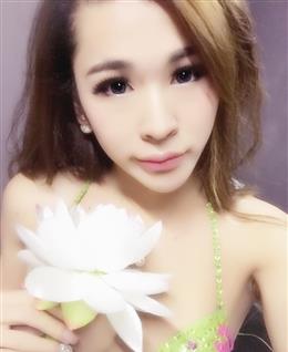 TS-金姬娜的头像