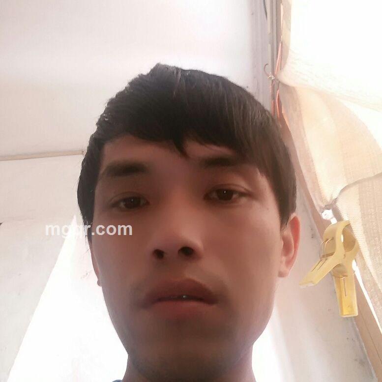 金币的头像