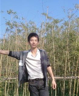 那一抹相思的头像