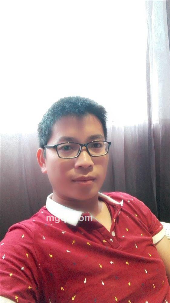 乌龟与贝壳的头像