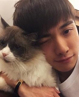 寻找心中的那个她1236的头像