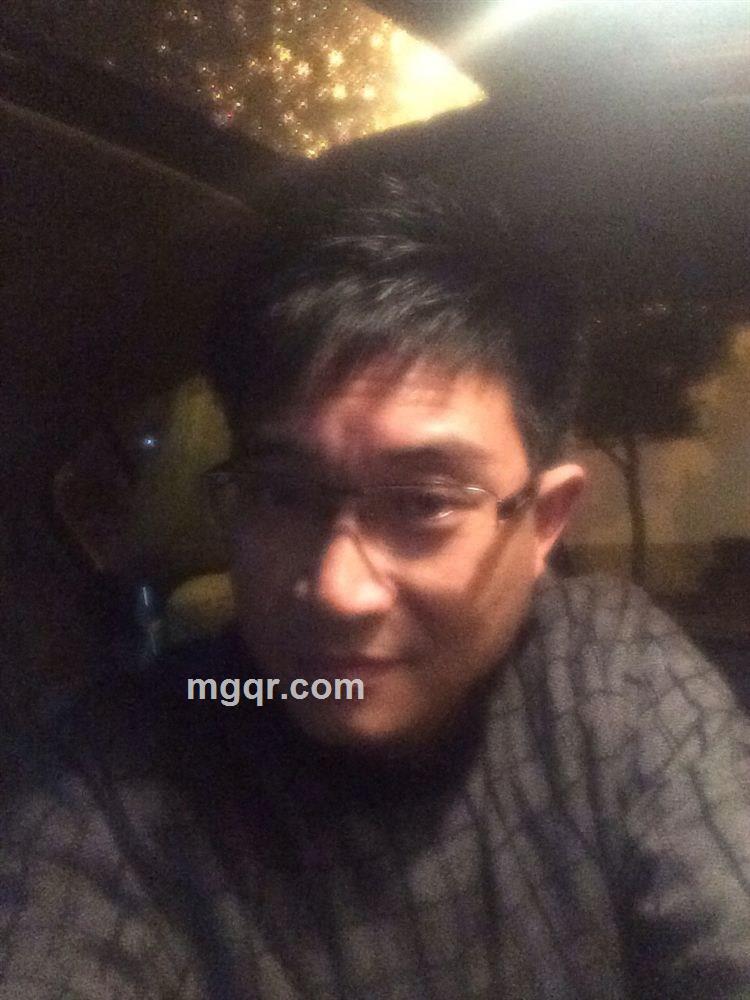 忧郁的孤雁的头像