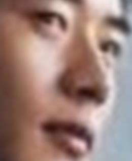 玫瑰之悦的头像